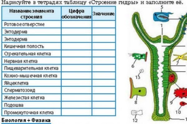 Kraken найдется все