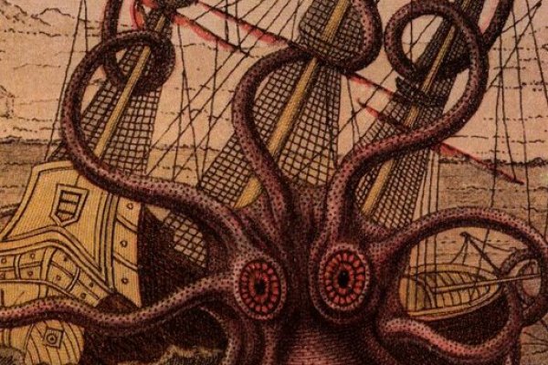 Vk kraken